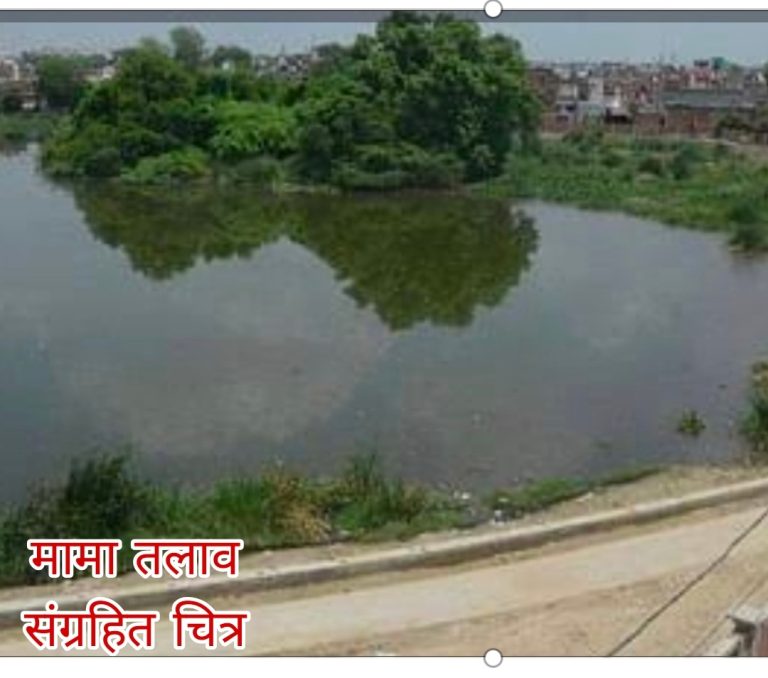 वणी विभागातील मामा तलावांची कामे रखडली; शेतकऱ्यांमध्ये नाराजी, सत्ताधाऱ्यांवर रोष