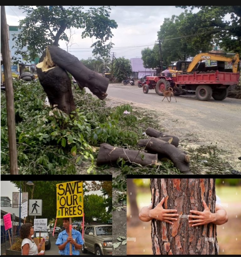 🌳 वणीतील नांदेपेरा मार्गावर वृक्षतोड – विकासाच्या नावाखाली पर्यावरणाचा बळी?