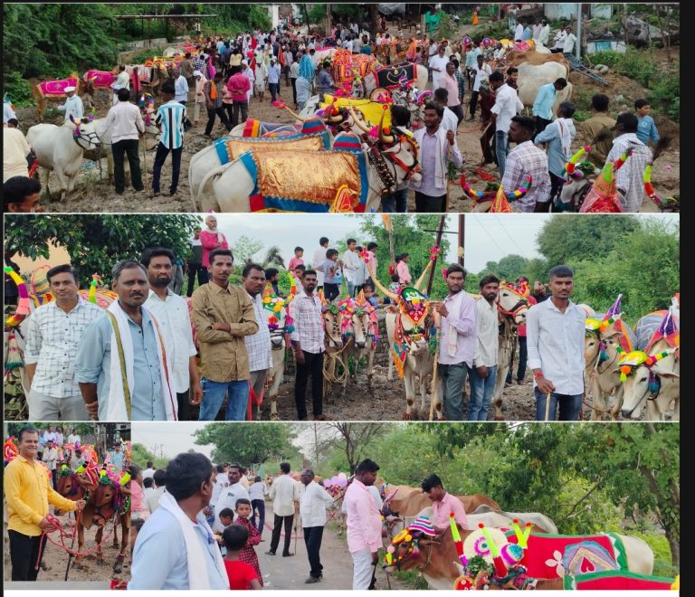 नेरड पू. येथे शेतकऱ्यांचा पोळा सण उत्साहात संपन्न